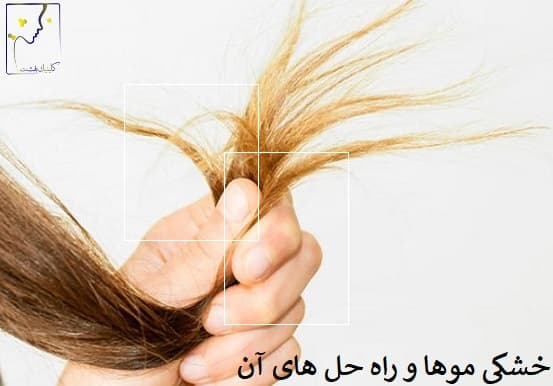 خشکی موها و راه حل های آن