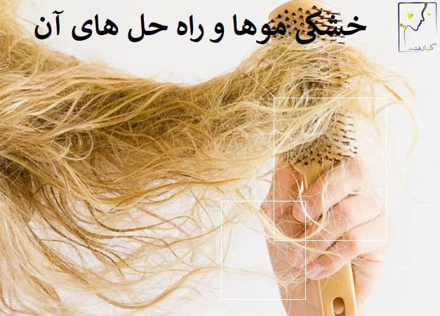 خشکی موها و راه حل های آن