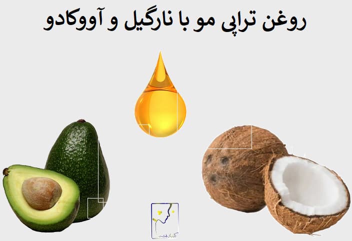 روغن تراپی مو با نارگیل و آووکادو