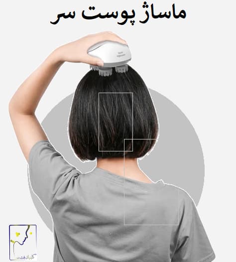 ماساژ پوست سر