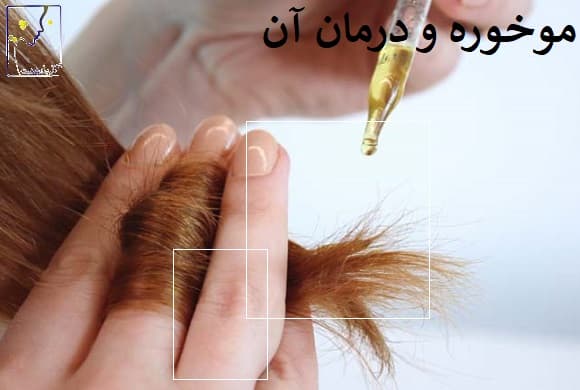 موخوره و درمان آن